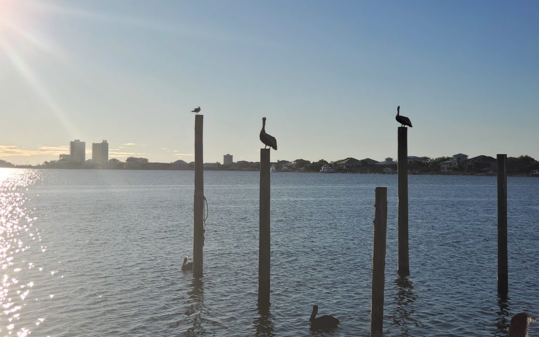 Pensacola, Floryda 12/2020